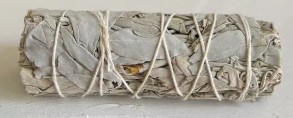 Salvia / ¨Sage¨