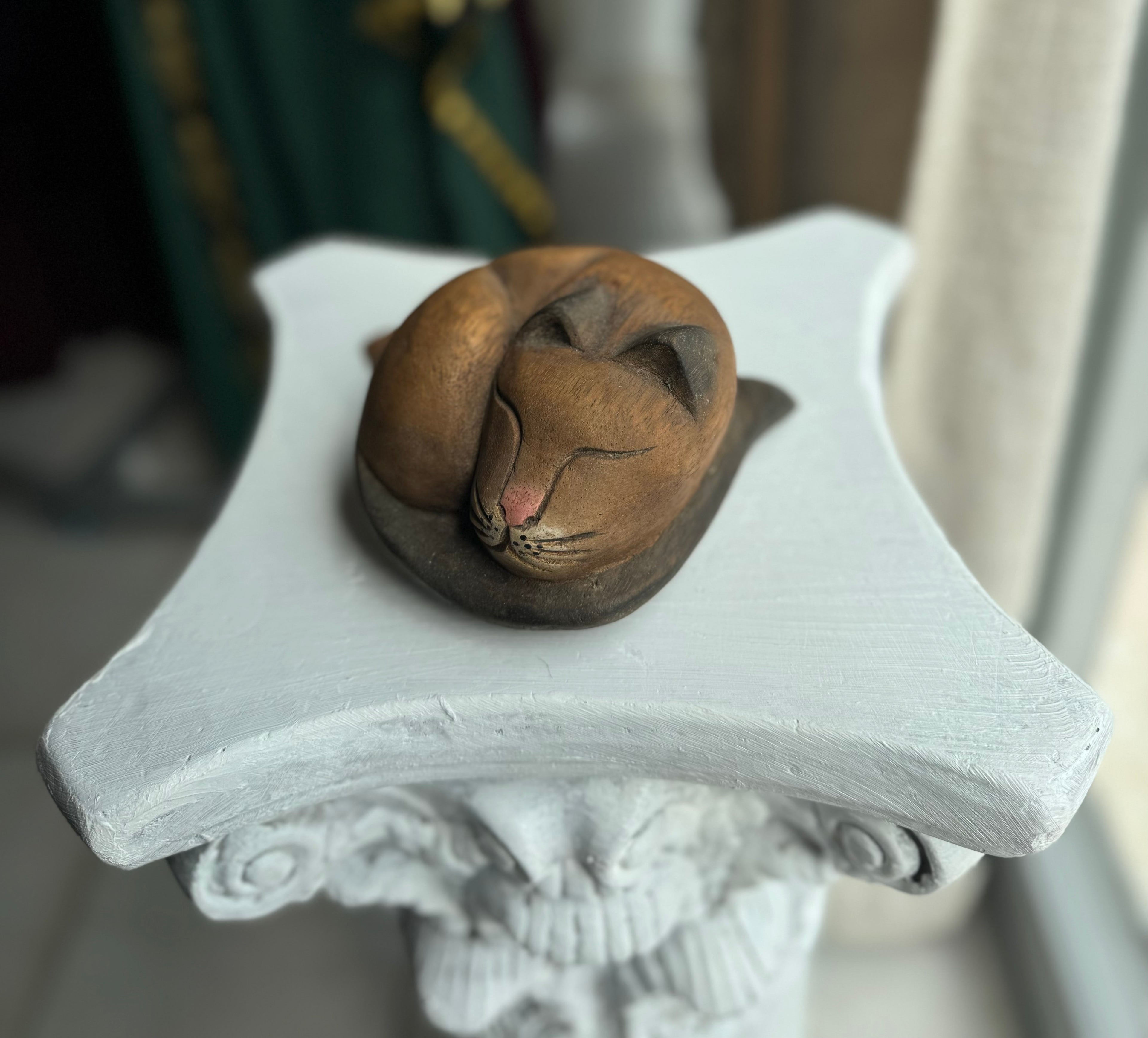 Gato Tope de Puerta
