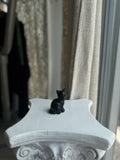 Gato de Obsidiana