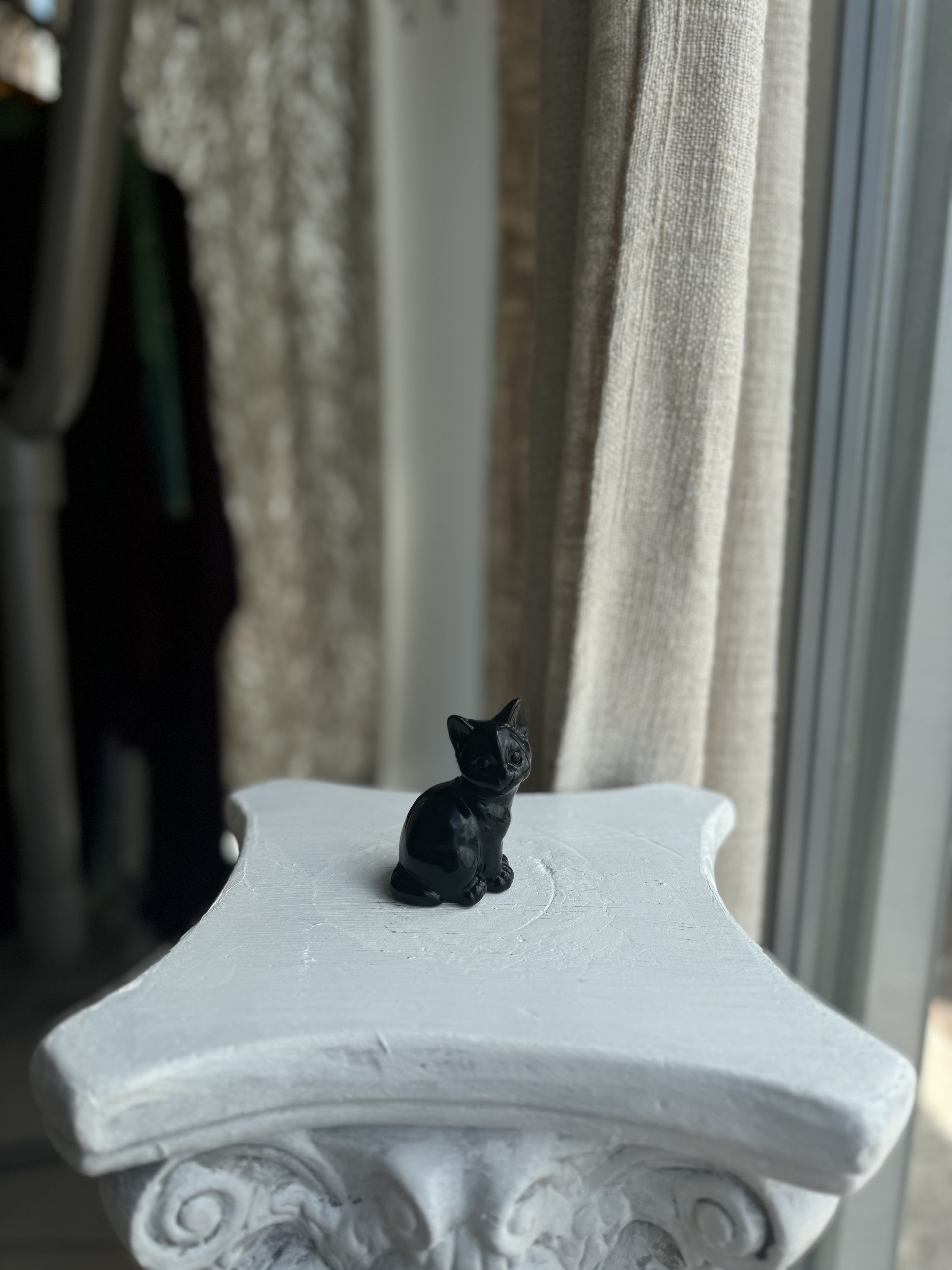 Gato de Obsidiana