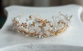 Diadema Princesa de los Cisnes
