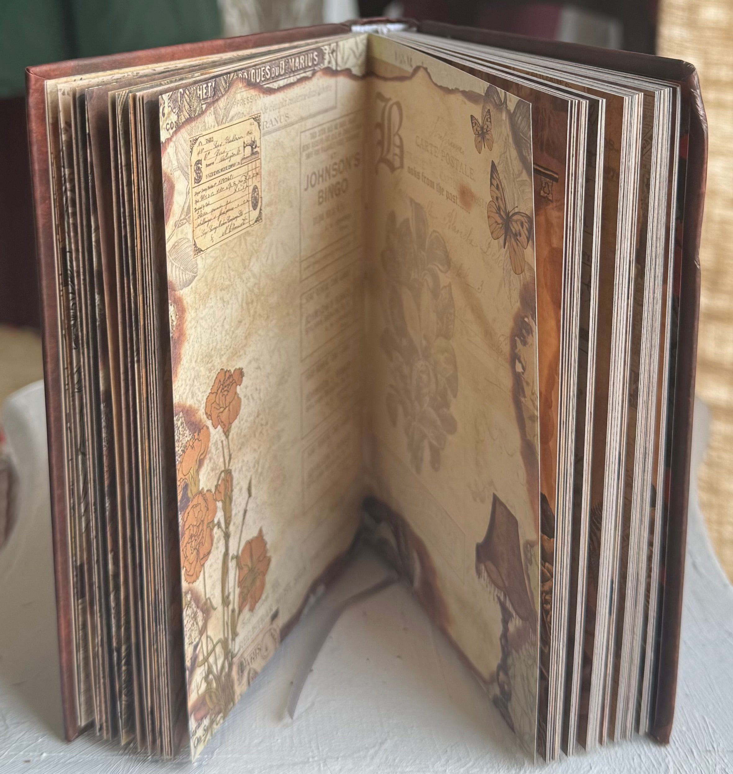 Cuadernos de la Naturaleza