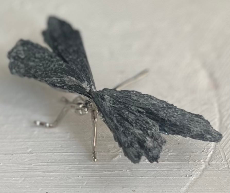 Libélula de Lutita