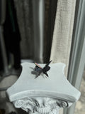 Mariposa de Ametrino