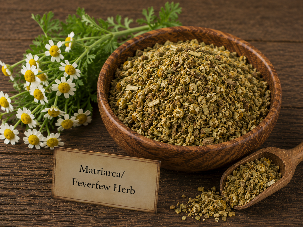 Matriarca/Feverfew Herb
