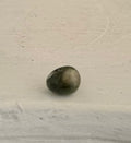 Huevo Yoni de Ópalo de Oliva "Mini"