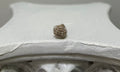 Piedra Rosa del Desierto