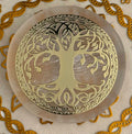 Tajada de Selenita