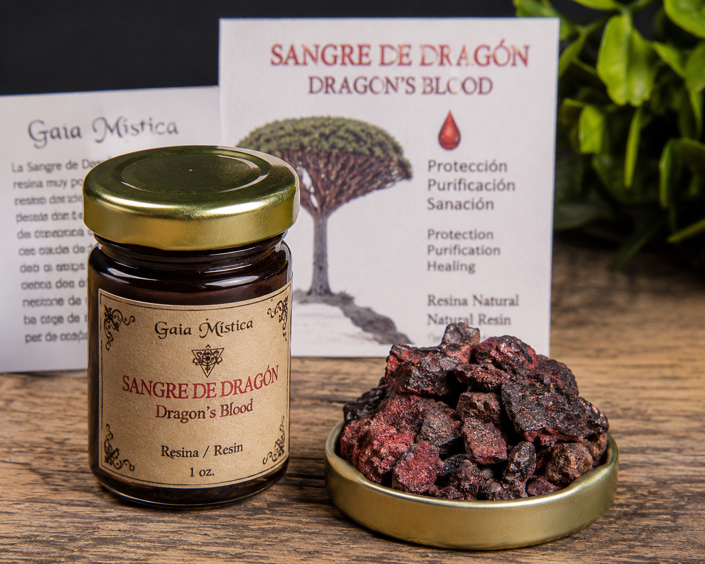Sangre De Dragón/ Dragon's Blood