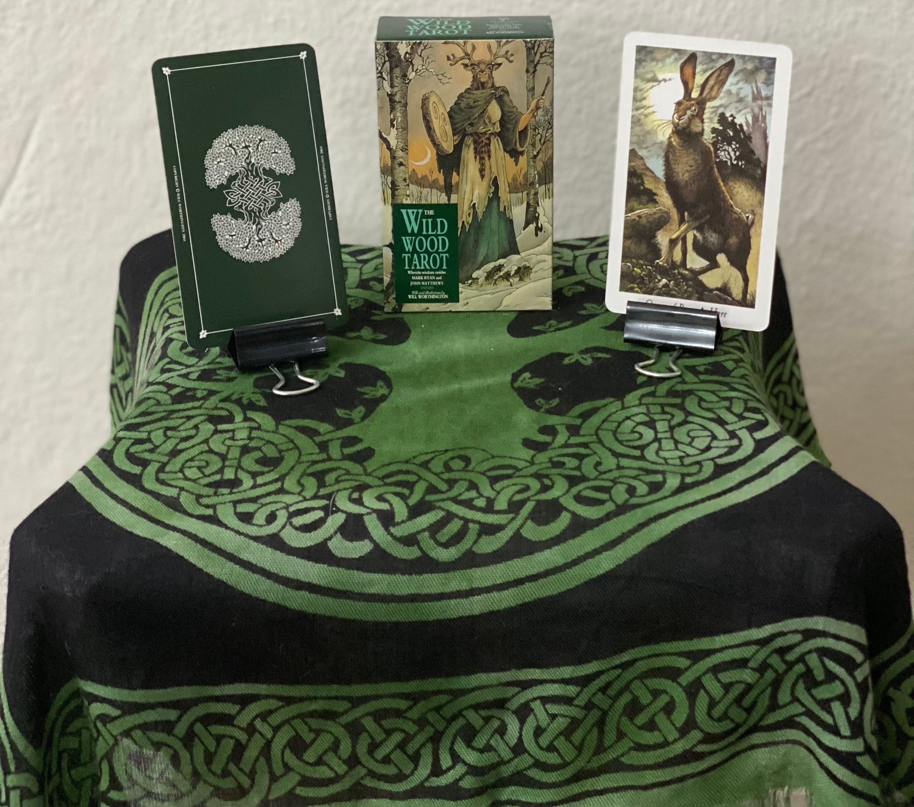The Wild Wood Tarot