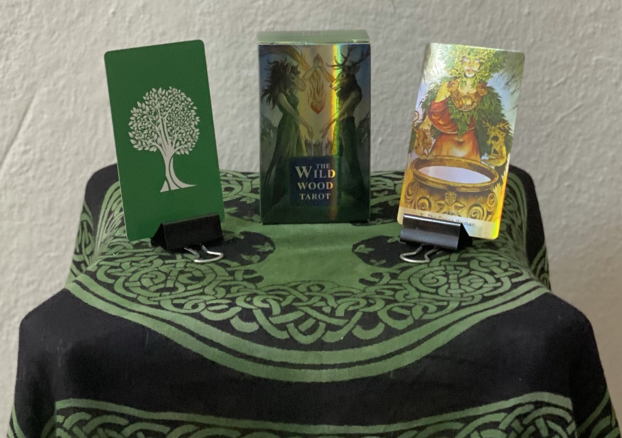 The Wild Wood Holographic