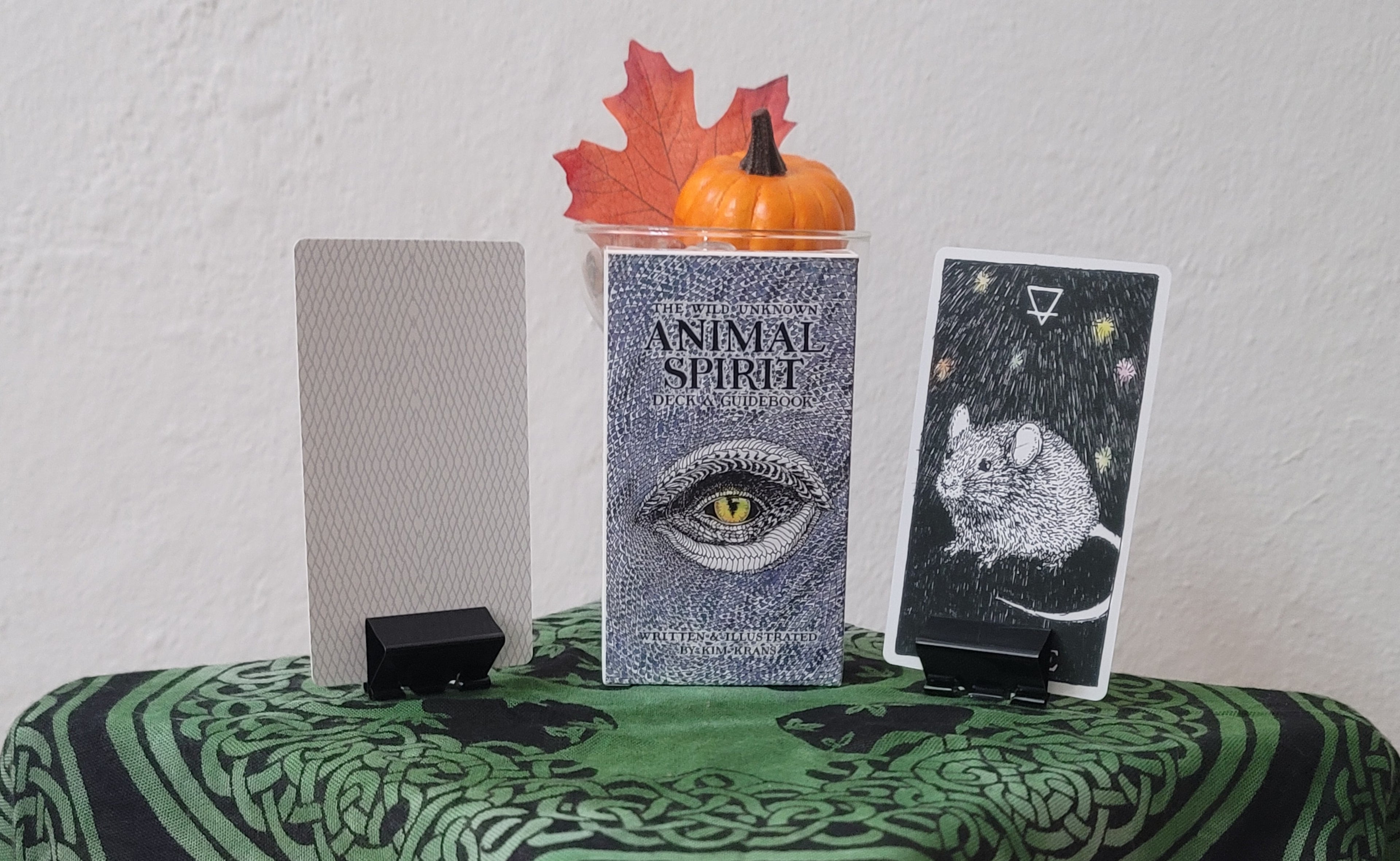 The Wild Unknown Animal Spirit