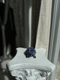 Tortuga de Lapislázuli