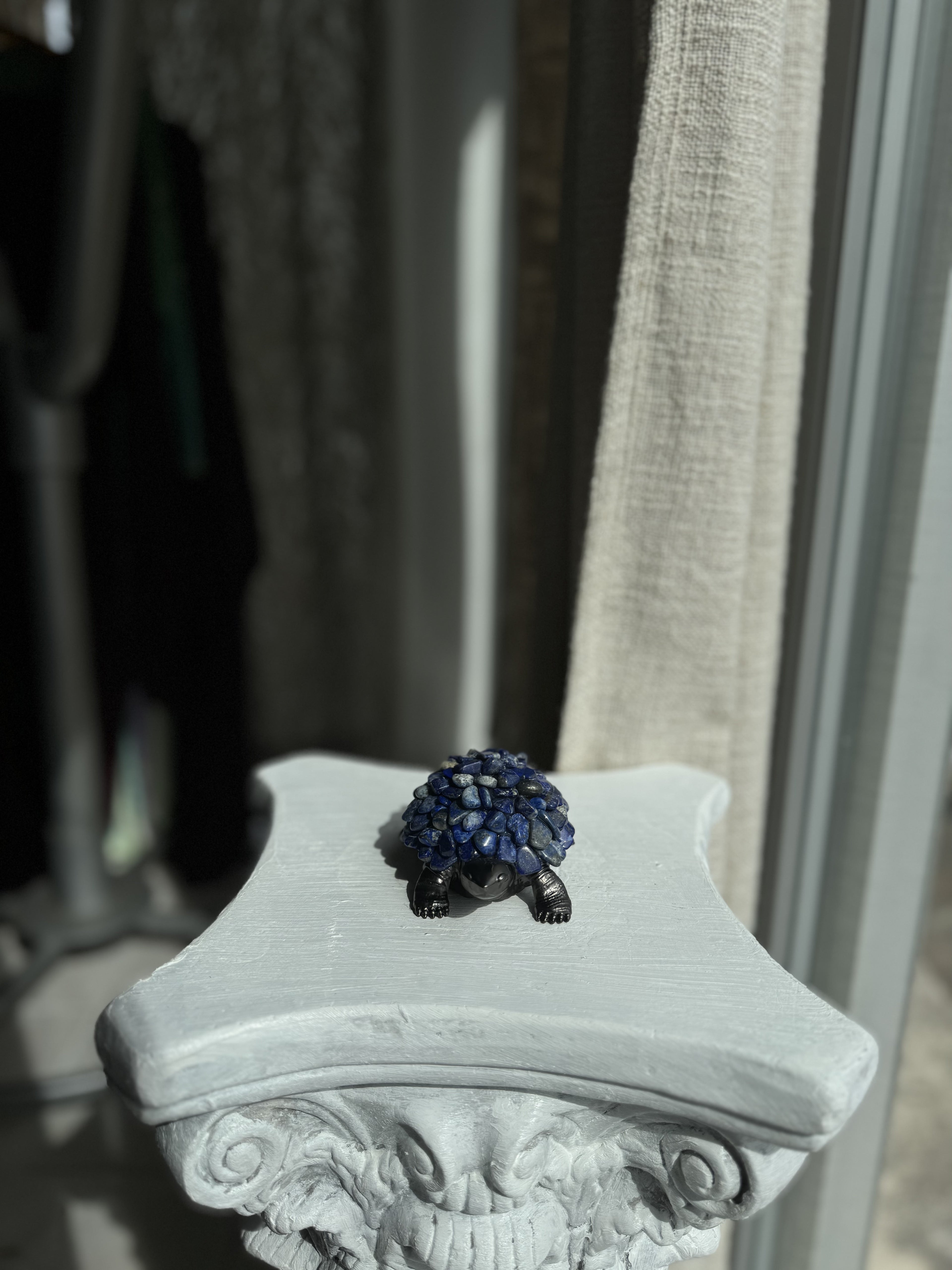 Tortuga de Lapislázuli