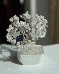 Árbol de Piedra Lunar Blanca