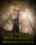 Essential Medical Guide Wilderness Survival