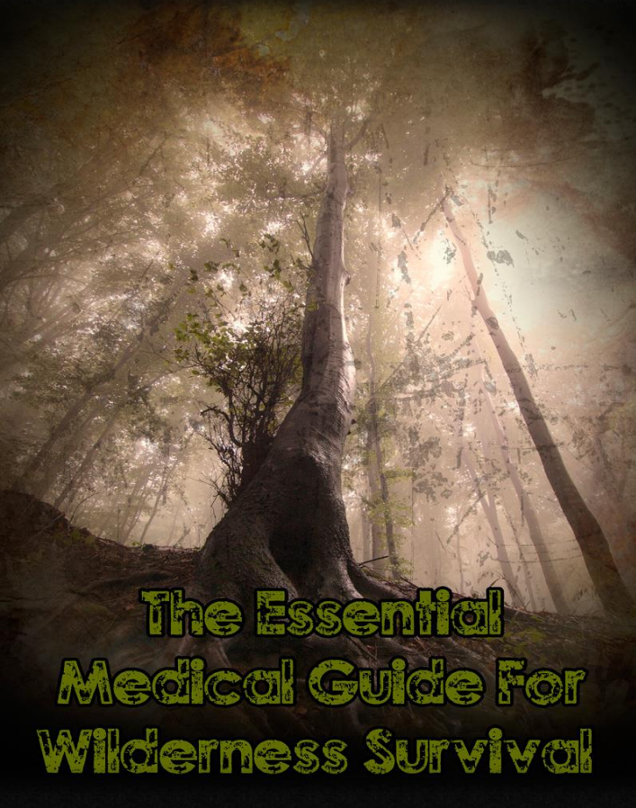 Essential Medical Guide Wilderness Survival