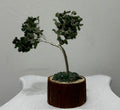 Árbol de Jade en tiesto de Madera