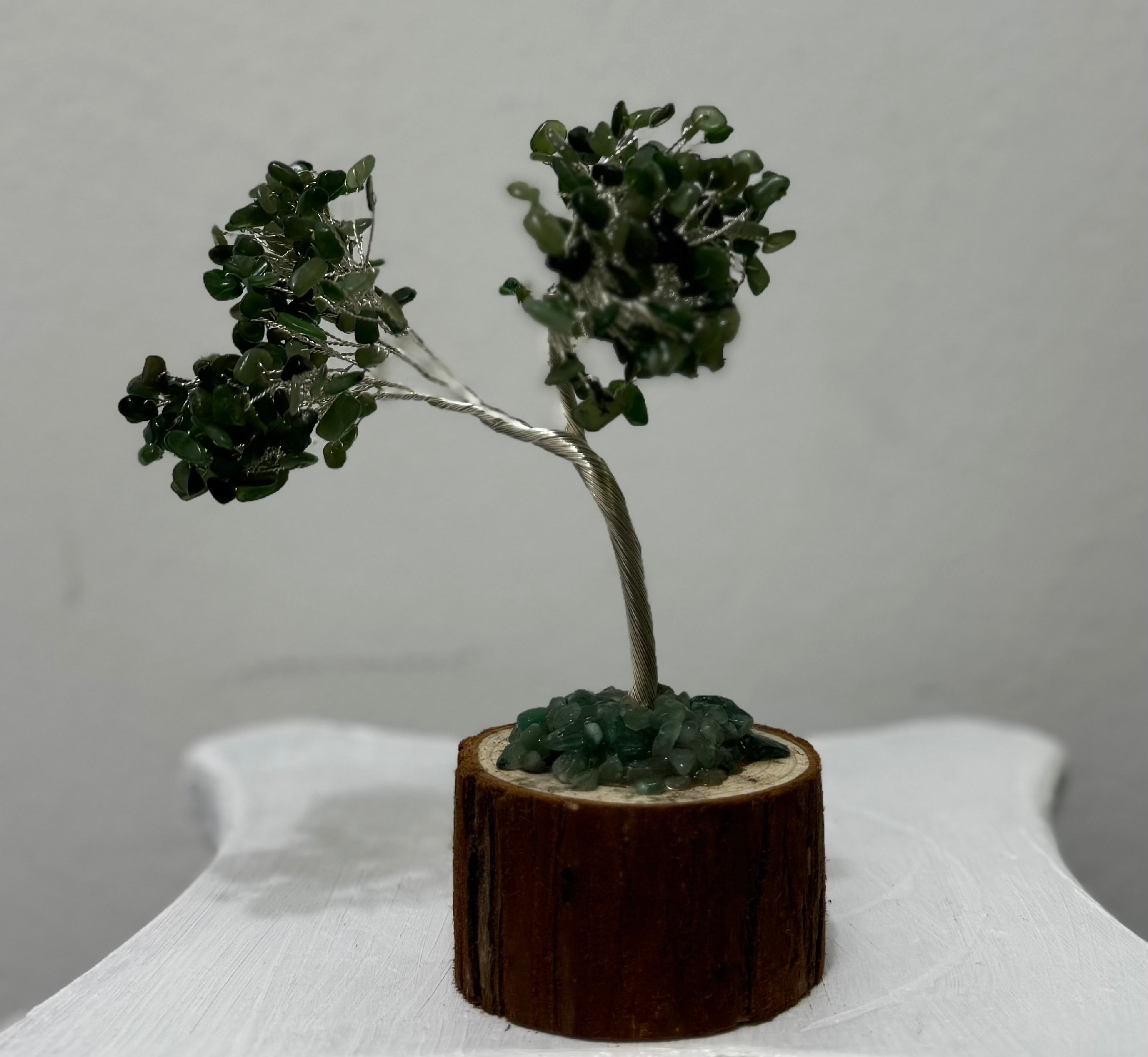 Árbol de Jade en tiesto de Madera