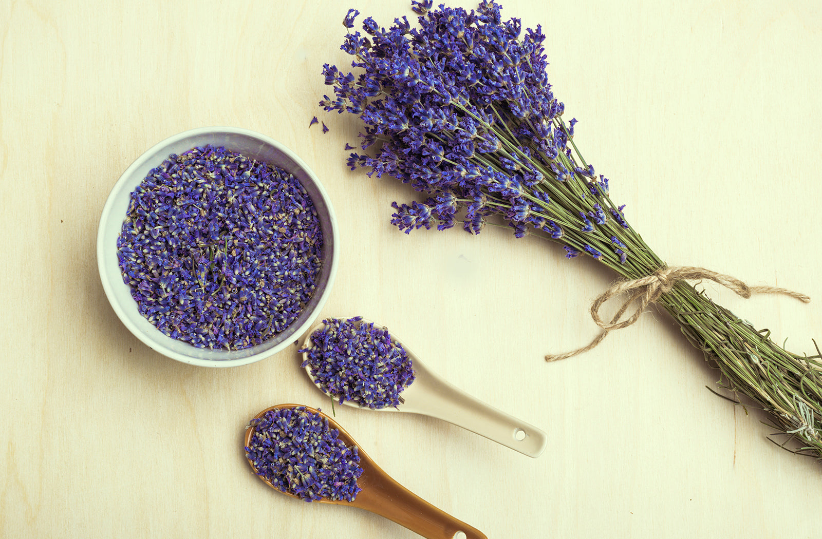 Paquete de Lavanda/Lavender Bundle