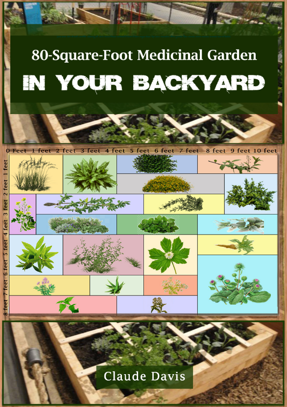80 Square Feet SHTF Medicinal Garden