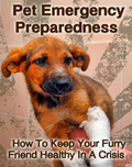 Pet Emergency Preparedness